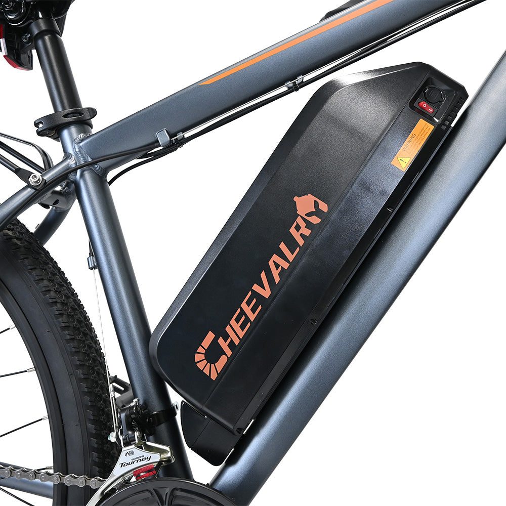 CHEEVALRY C29 Electric Bike
