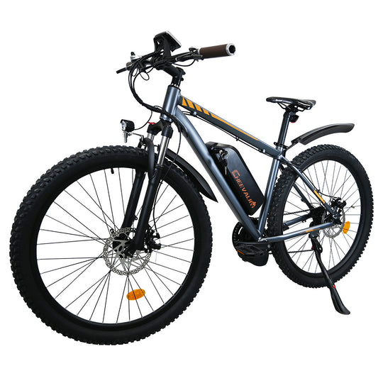 CHEEVALRY C29 PRO Electric Bike