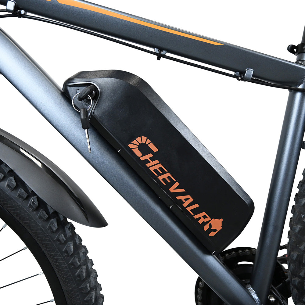CHEEVALRY C29 PRO Electric Bike